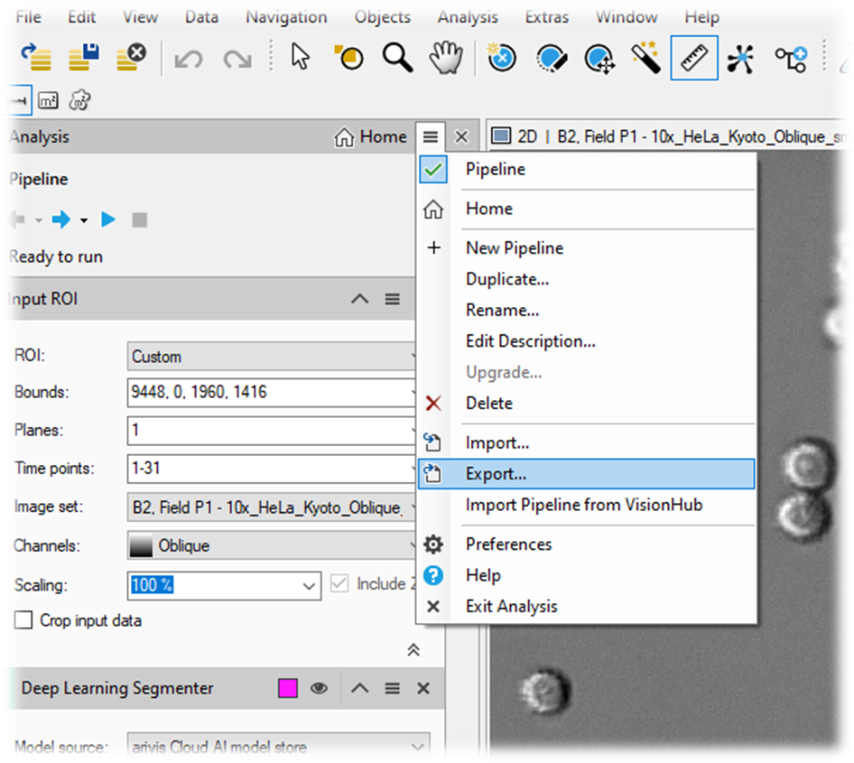 Analysis panel of software showing Pipeline menu with Export option highlighted and Input ROI settings visible.