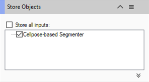 Panel 'Store Objects' showing unchecked 'Store all inputs' box and checked 'Cellpose-based Segmenter' option