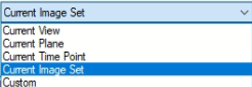 Dropdown list showing options: Current View, Current Plane, Current Time Point, Current Image Set, Custom.