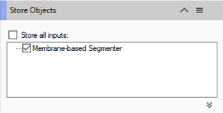 Panel titled 'Store Objects' with unchecked 'Store all inputs:' checkbox and checked 'Membrane-based Segmenter' item.