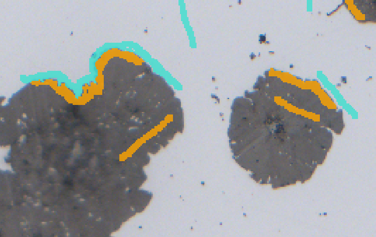 Close-up of two brown particles on pale background with orange strokes and teal outlines marking edges