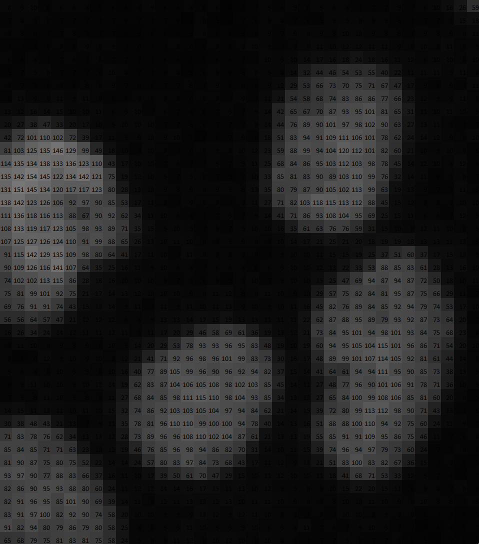 Grayscale pixel map with small numeric intensity labels forming several brighter oval clusters