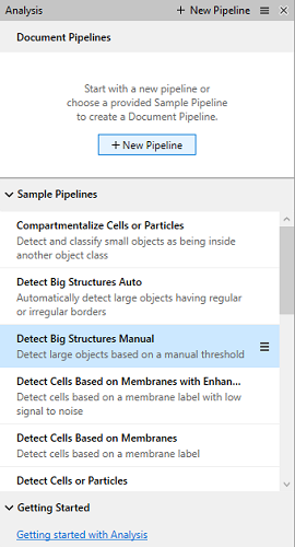 Document Pipelines panel showing + New Pipeline button and Sample Pipelines list with Detect Big Structures Manual highlighted