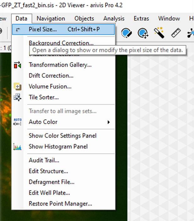 App window Data menu with 'Pixel Size...' menu item highlighted and tooltip visible