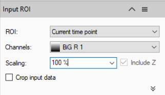 Input ROI dialog: ROI Current time point; Channels BiG R 1; Scaling 100% (Include Z checked); Crop input data unchecked