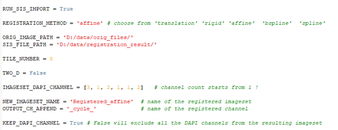 Python script showing variables including REGISTRATION_METHOD='affine' and ORIG_IMAGE_PATH='D:/data/orig_files/'