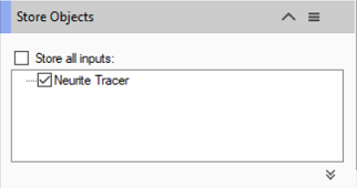 Store Objects dialog with unchecked 'Store all inputs:' checkbox and checked 'Neurite Tracer' item