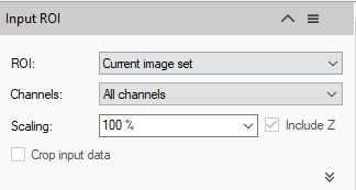 Input ROI dialog: ROI Current image set; Channels All channels; Scaling 100% (Include Z checked); Crop input data unchecked