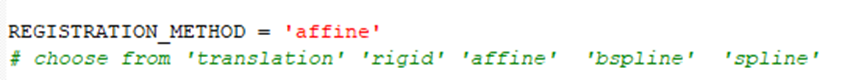 Code snippet showing REGISTRATION_METHOD = 'affine'