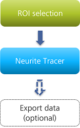 Green 'ROI selection' box above blue 'Neurite Tracer' box with arrows to dashed 'Export data (optional)' box
