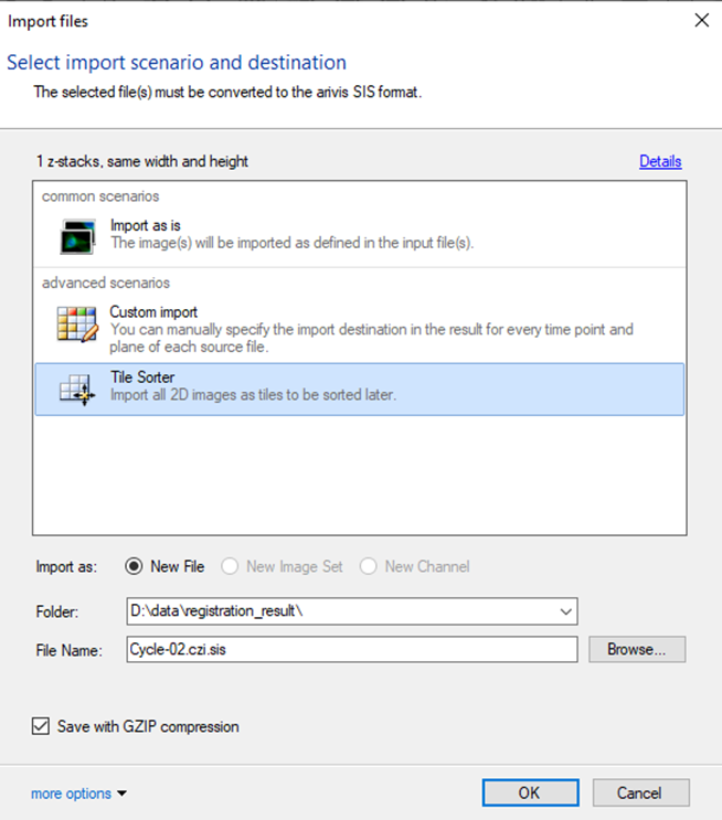 Import files dialog with Tile Sorter selected, Folder D:\data\registration_result\, File Name Cycle-02.czi.sis and Save with GZIP checked