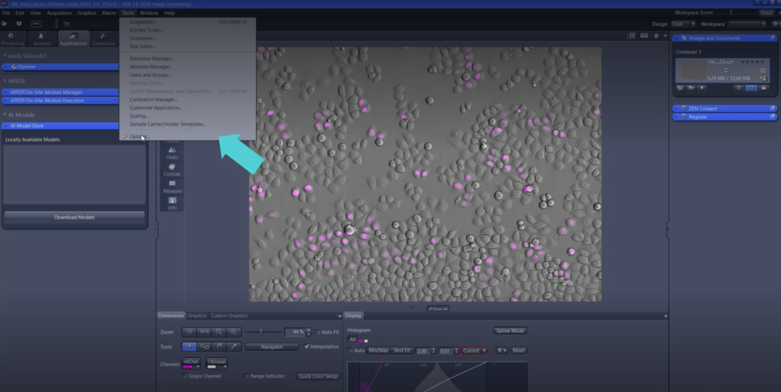 ZEN software interface displaying grayscale cell image with purple highlights and an Options dialog pointing to API Key field.