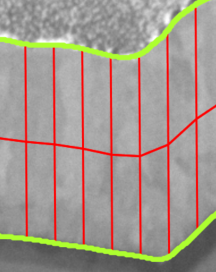 Grayscale sample region bordered by neon green outline with regularly spaced red vertical lines across interior