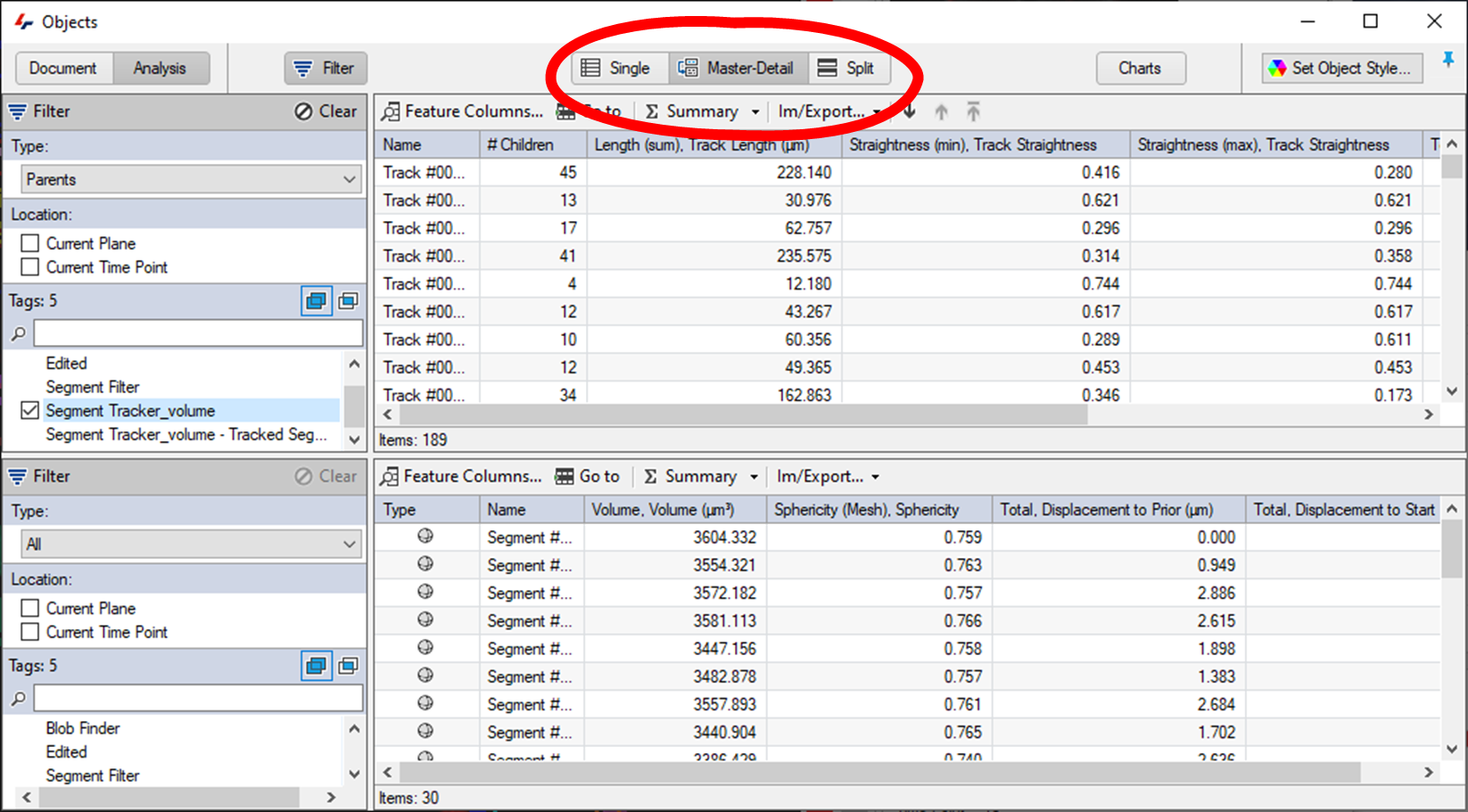 Software Objects window screenshot showing tracks tables and a red-circled toolbar with Single, Master-Detail, Split
