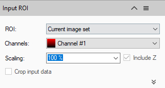 Input ROI showing ROI: Current image set; Channels: Channel #1 with red swatch; Scaling: 100 % with Include Z checkbox
