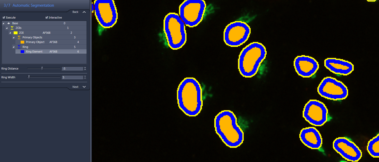 Microscopy segmentation: orange cores outlined in blue and yellow rings; left panel shows 3/7 Automatic Segmentation.