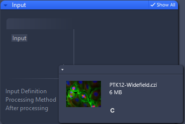 UI dialog showing Input panel and popup thumbnail labeled PTK12-Widefield.czi 6 MB with letter C