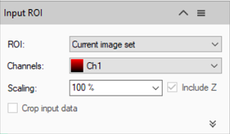 Input ROI dialog showing ROI: Current image set; Channels: Ch1 with red swatch; Scaling: 100% with checked Include Z