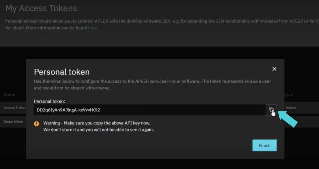 Personal token dialog showing a personal token field, copy icon highlighted and a warning to copy the API key now