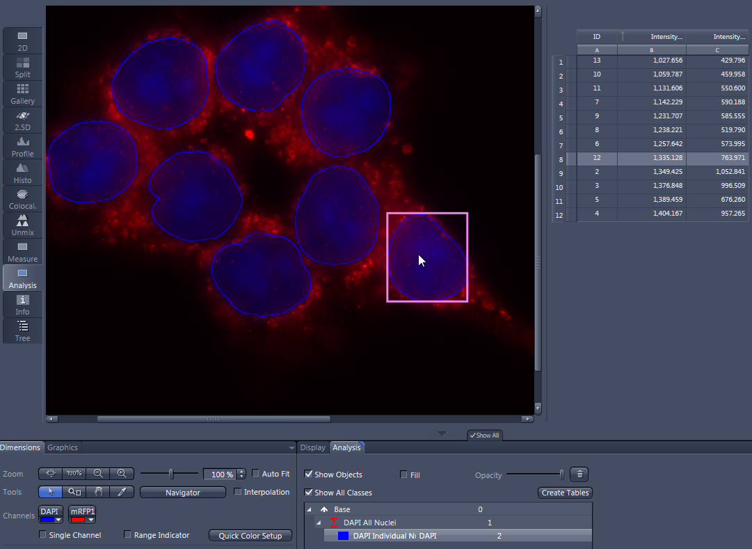Fluorescence image of blue DAPI nuclei on red background, one nucleus boxed in magenta, numeric data table at right