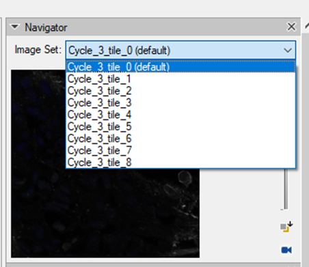 Navigator panel with Image Set 'Cycle_3_tile_0 (default)' and list Cycle_3_tile_1..Cycle_3_tile_8