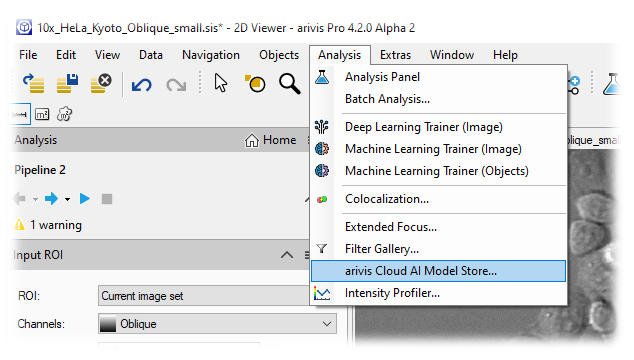 arivis Pro window with Analysis menu open and 'arivis Cloud AI Model Store...' menu item highlighted