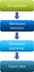 Vertical flowchart of four labeled boxes: ROI selection → Membrane Detection → Membrane segmenter → Export data