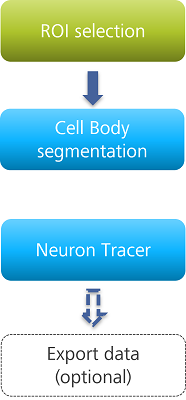 ROI selection → Cell Body segmentation → Neuron Tracer → Export data (optional)