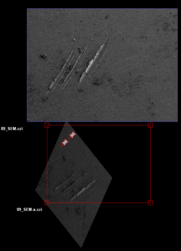 SEM panels 09_SEM.czi and 09_SEM-a.czi; upper blue-bordered, lower rotated with red selection box and pins