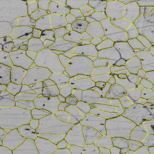 Grayscale image of irregular polygonal regions outlined in yellow forming a connected network