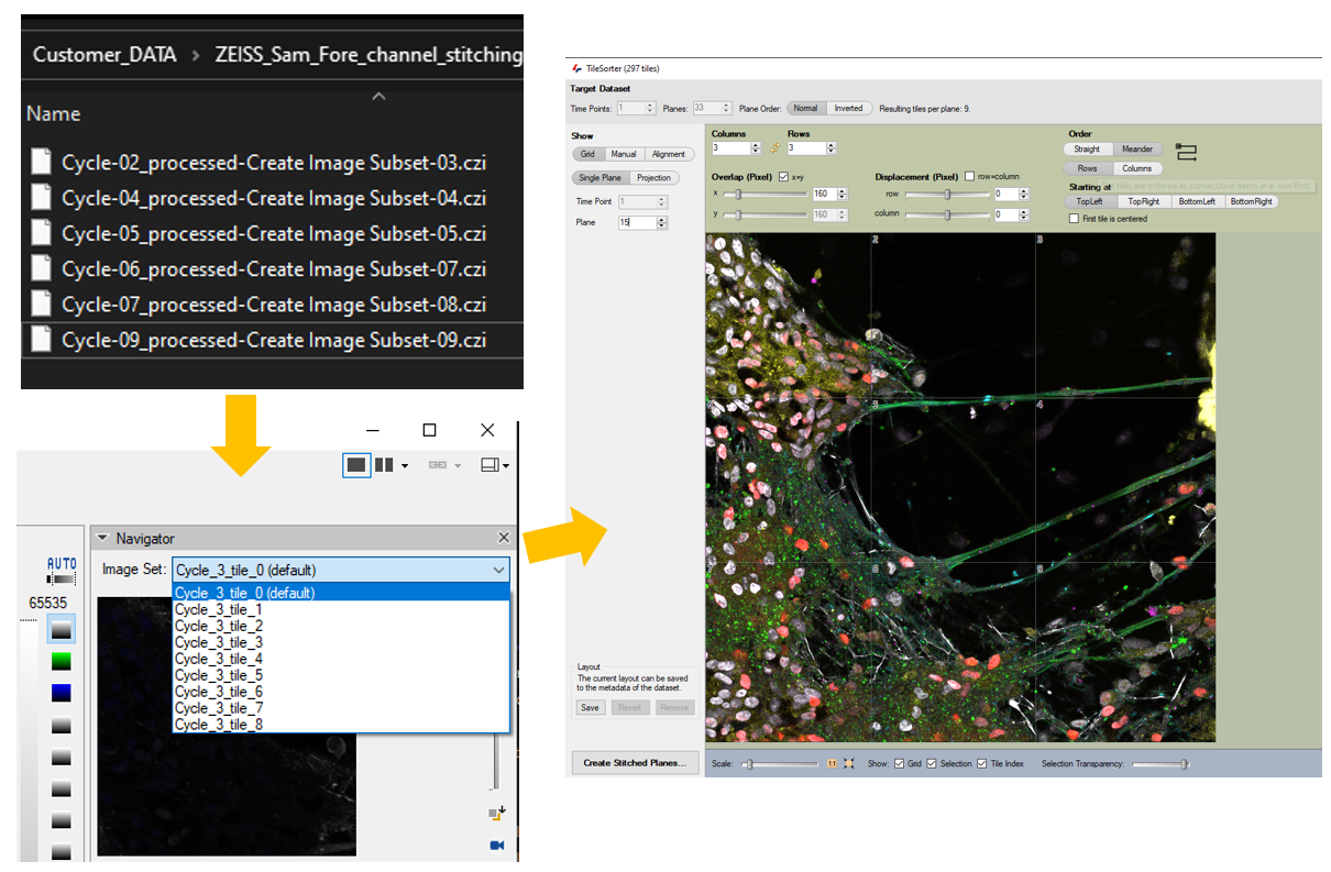 Screenshot of file list (Cycle_02-09 .czi), Navigator showing Cycle_3_tile_0-8, and TileSorter multicolor microscopy mosaic