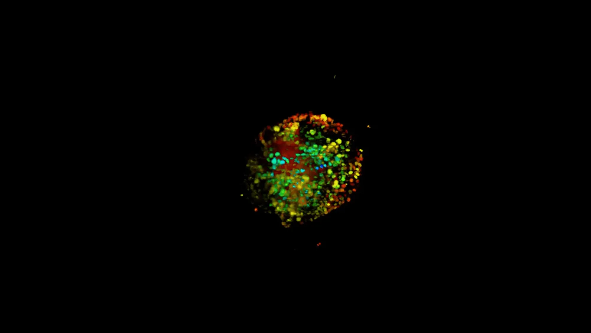 Irregular circular cluster of multicolored dots (red, green, yellow, cyan) centered on black background