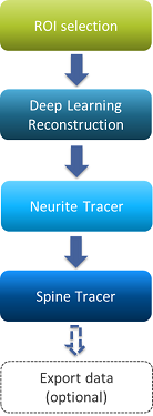 Vertical flowchart: ROI selection → Deep Learning Reconstruction → Neurite Tracer → Spine Tracer → Export data (optional)