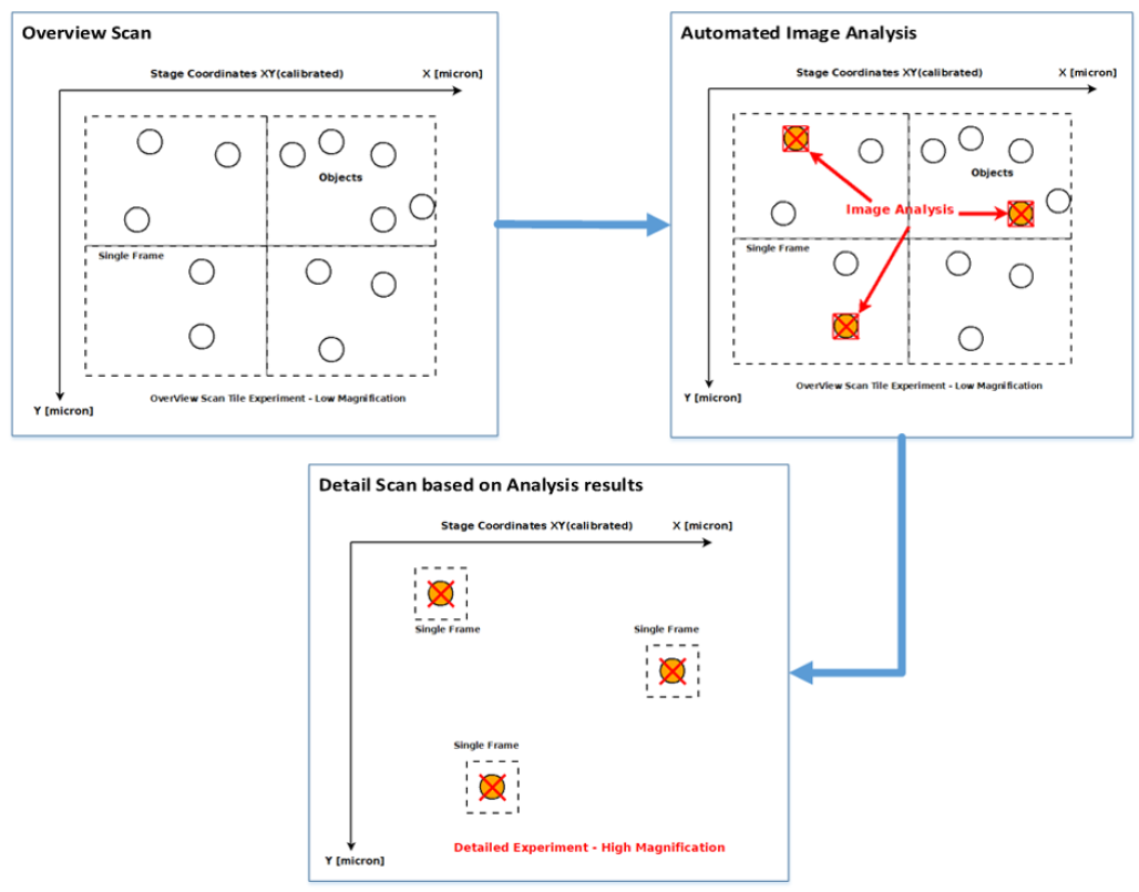 Three-panel diagram labeled Overview Scan, Automated Image Analysis, Detail Scan; tiled frames with circles and red X marks.