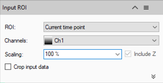 Input ROI dialog with ROI: Current time point, Channels: Ch1, Scaling: 100 %, Include Z checked, Crop input data unchecked