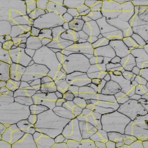 Grayscale image of polygonal cells with dark boundaries and yellow overlay outlining cell edges