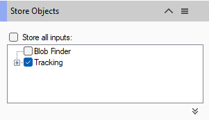 Panel 'Store Objects' with unchecked 'Store all inputs:' box and list showing 'Blob Finder' and checked 'Tracking'