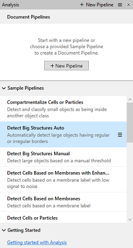 Analysis panel showing Document Pipelines and Sample Pipelines list with Detect Big Structures Auto selected