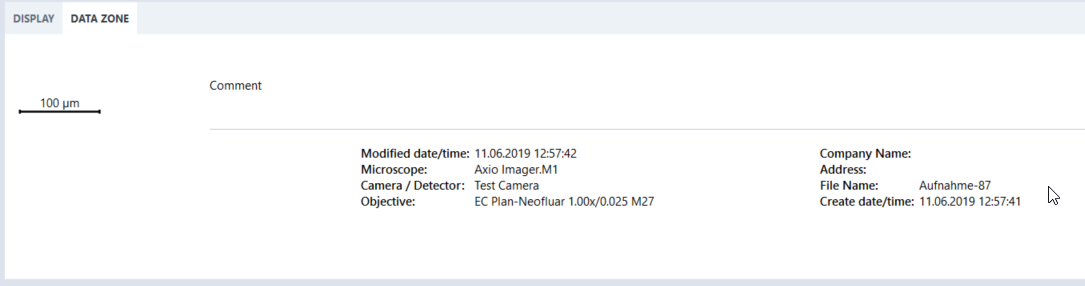 Data Zone panel with 100 µm scale bar and metadata showing Modified date/time, Microscope, Camera/Detector, File Name