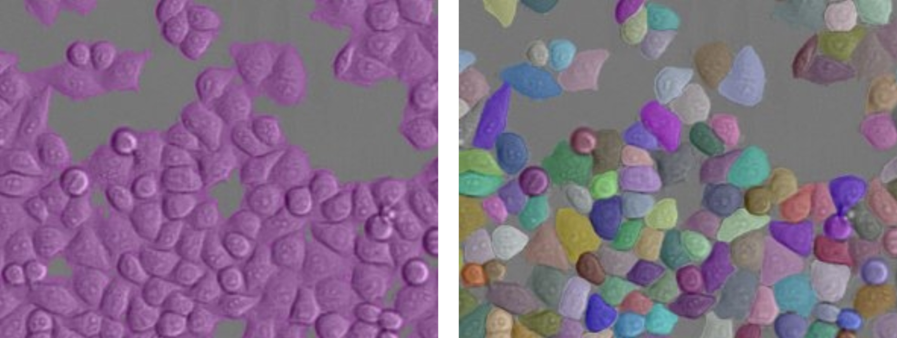 Segmentation results: semantic segmentation (left panel), instance segmentation (right panel). Image: Frank Vogler, Demo Center, Oberkochen/ Model: Marion Lang