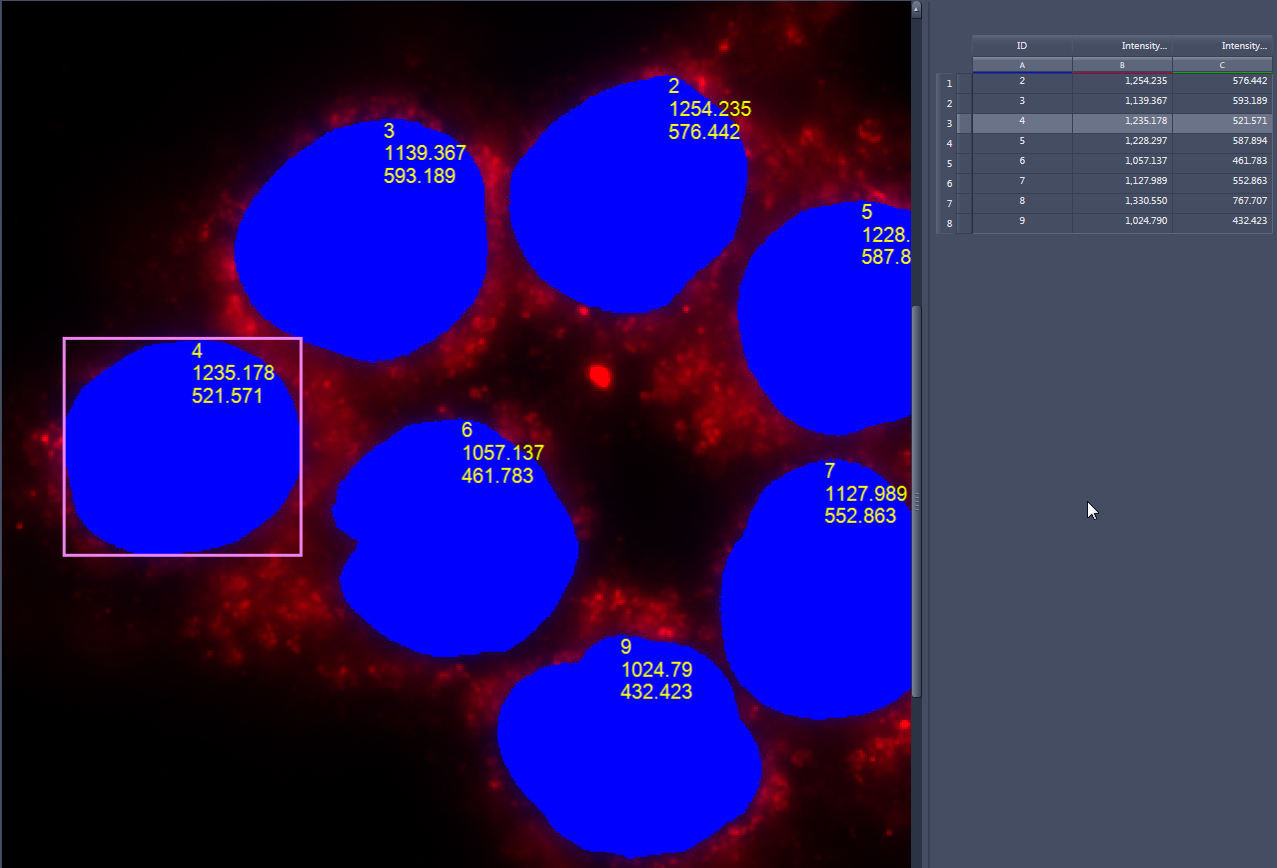 Fluorescent image of blue cell nuclei numbered with yellow intensity values over red background and right-side data table