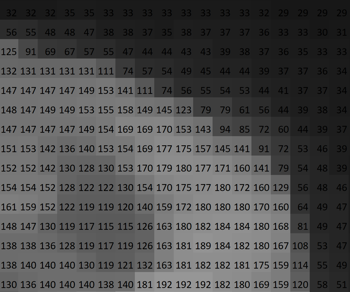 Zoomed pixel grid showing numeric intensity values overlaid on tiles