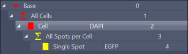 Hierarchy tree: Base 0; All Cells 1; Cell (red) DAPI 2; All Spots per Cell 3; Single Spot (yellow) EGFP 4