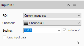 Input ROI dialog showing ROI 'Current image set', Channel 'Channel #1', Scaling '100 %' and 'Include Z' checked