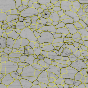 Gray micrograph of polygonal grains with yellow boundary overlays, black grain lines and scattered dark specks