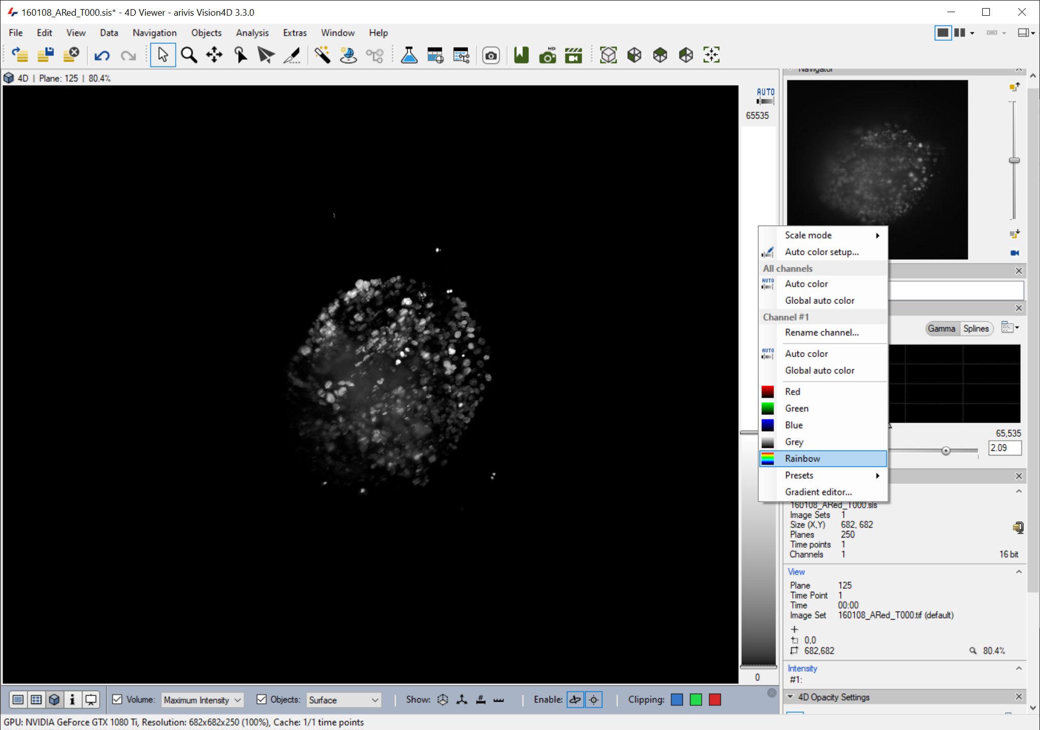Screenshot of 4D Viewer showing grayscale cluster of bright spots and right-side menu with Rainbow color option