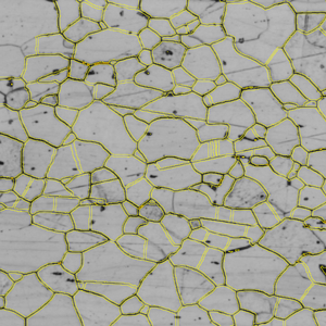 Gray micrograph of polygonal grains with yellow boundary overlays, black grain lines and scattered dark specks