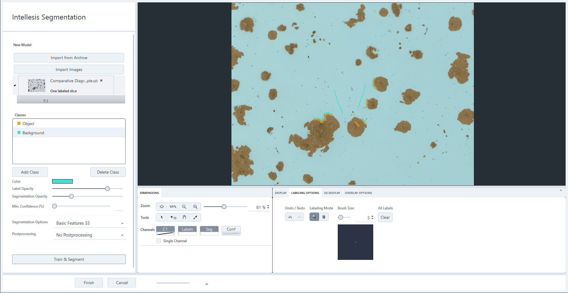 Intellesis Segmentation interface showing a microscopy image with brown particles on blue background and orange and teal label marks