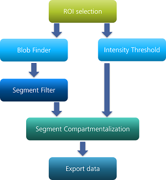 ROI selection connects Blob Finder, Intensity Threshold, Segment Filter, Segment Compartmentalization, Export data.