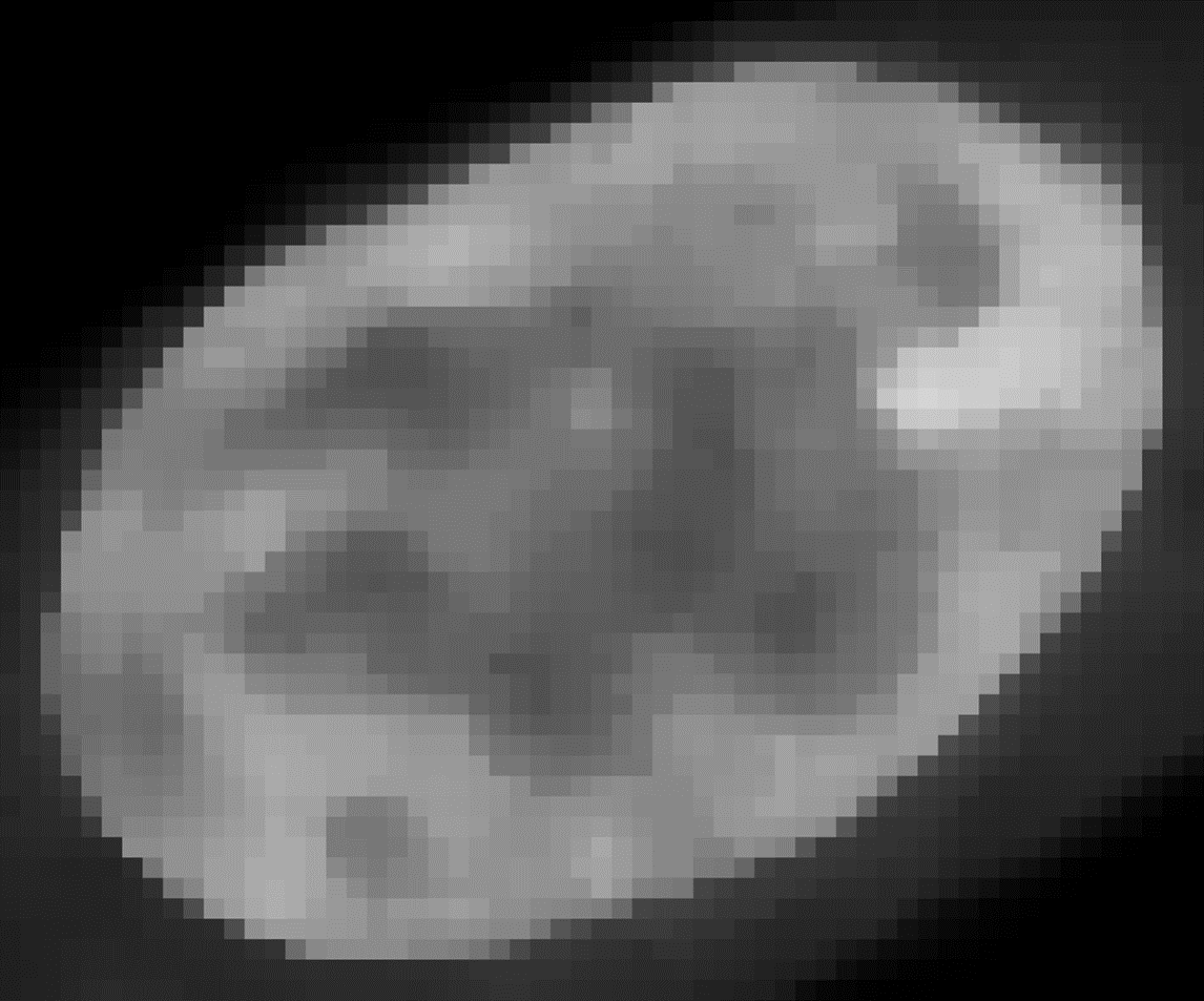 Pixelated grayscale close-up of a single cell nucleus